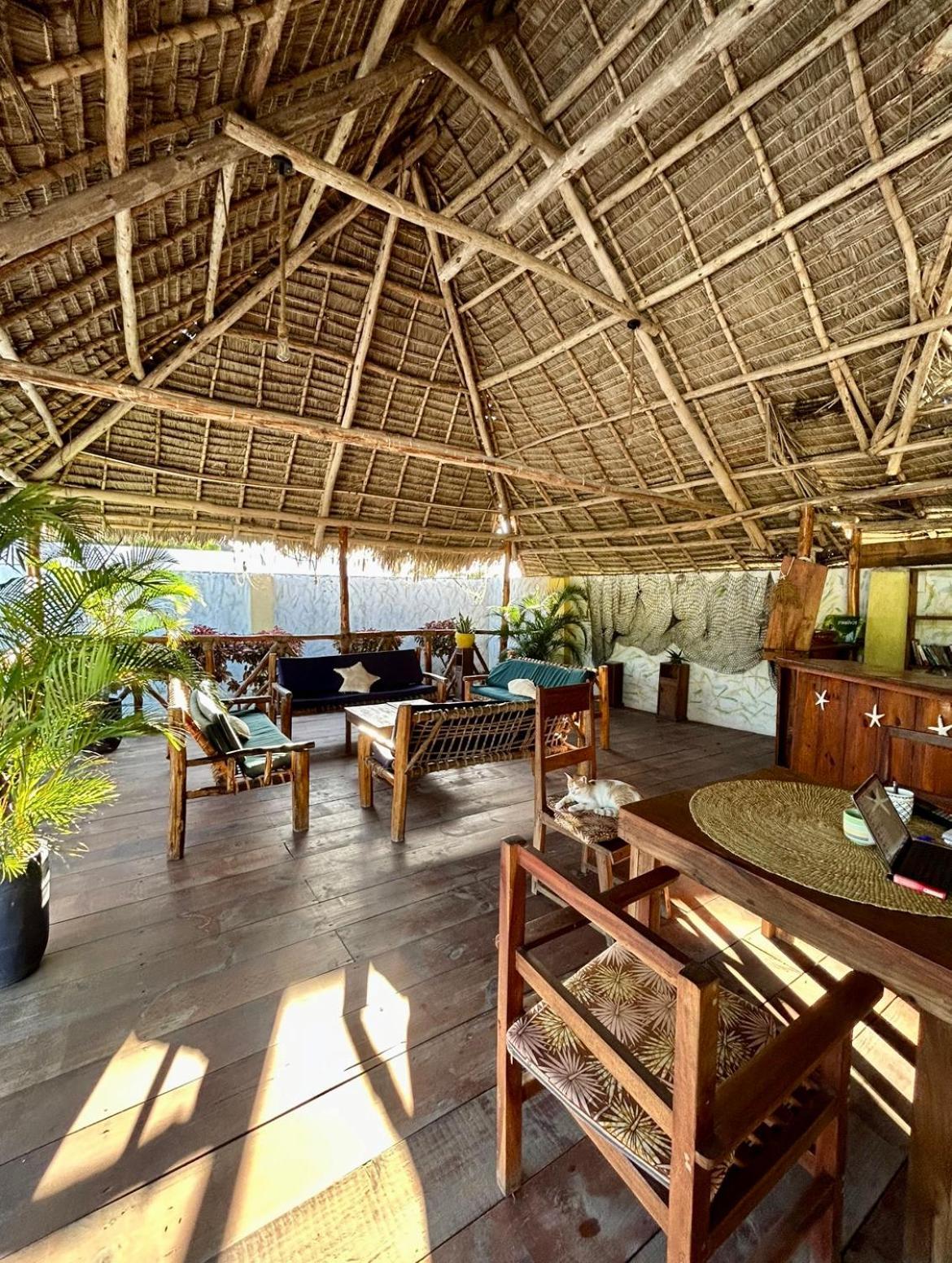 Shamba Lodge Nungwi Εξωτερικό φωτογραφία
