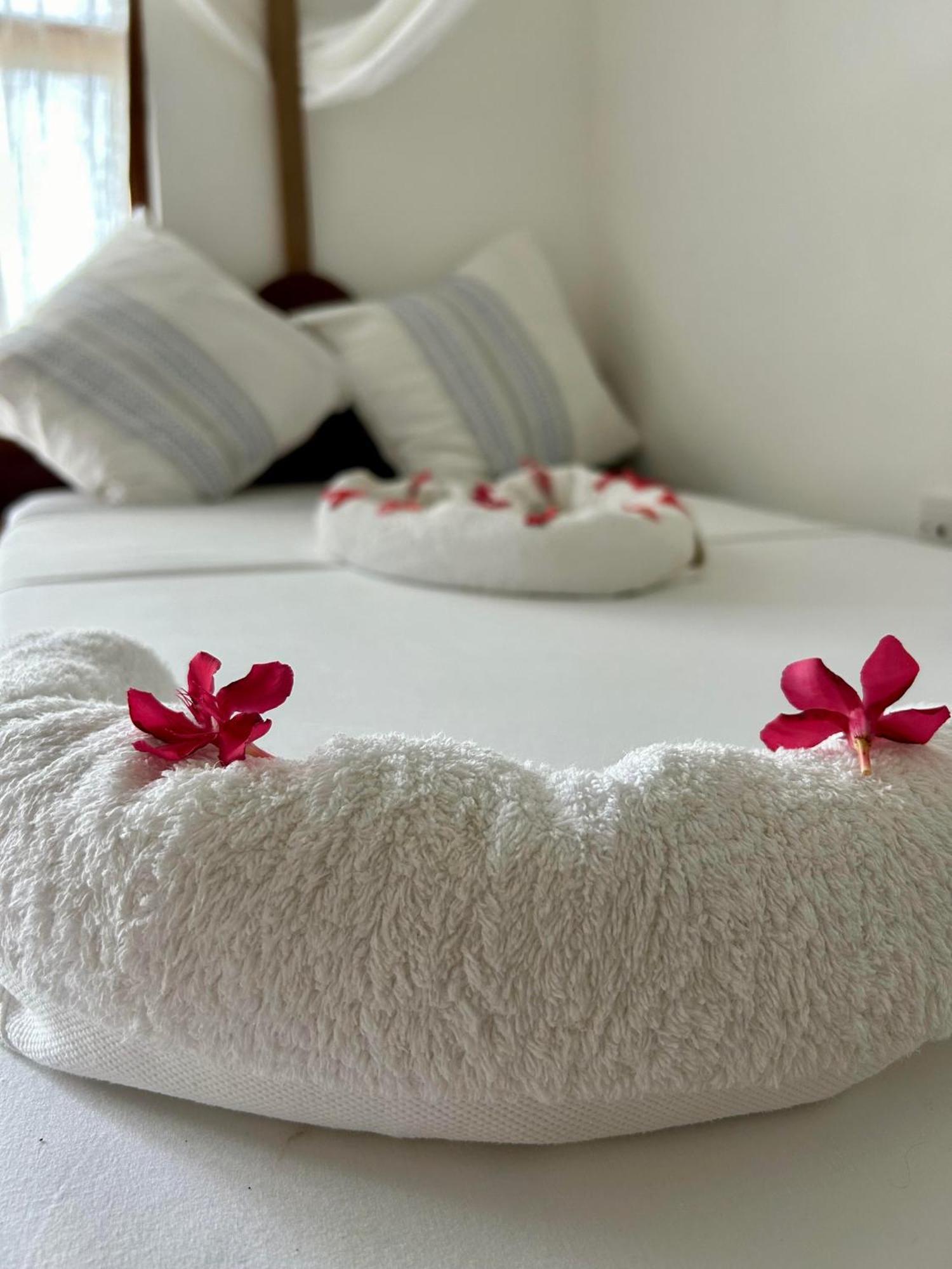 Shamba Lodge Nungwi Εξωτερικό φωτογραφία