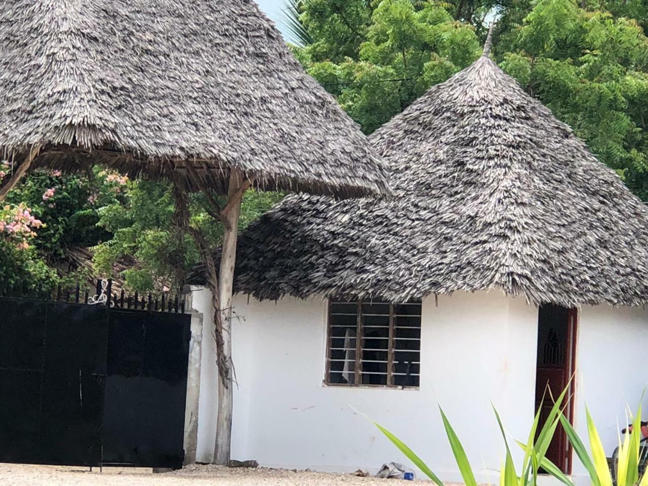 Shamba Lodge Nungwi Εξωτερικό φωτογραφία
